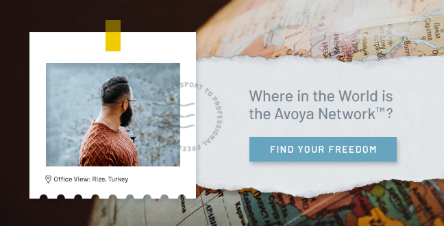 Where in the World is the Avoya Network™?