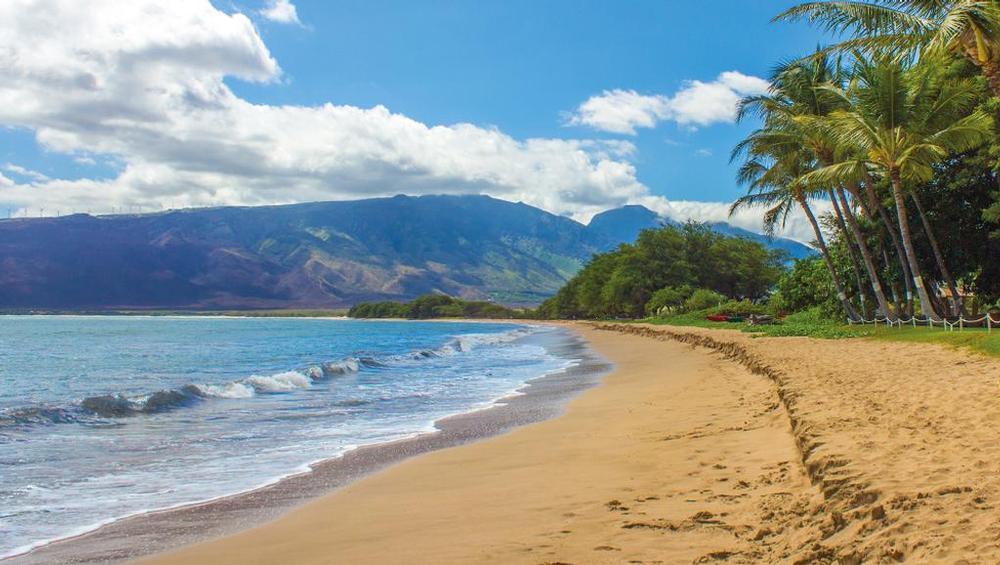 maui hawaii scenery